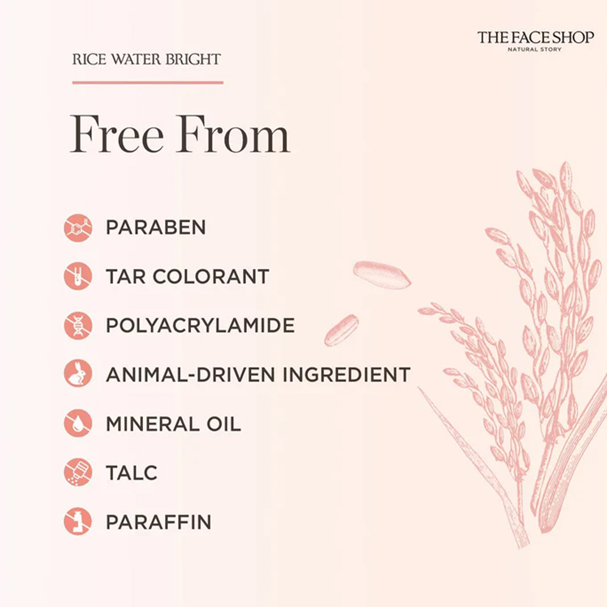 THE FACE SHOP RICE WATER BRIGH - огляд і ціна Luxury Skincare Cleanser